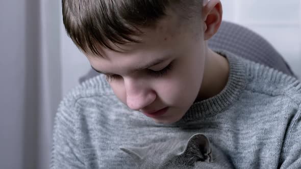 Sad Boy Holds and Hugs a Fluffy Cat in His Arms Sitting in an Armchair in Room