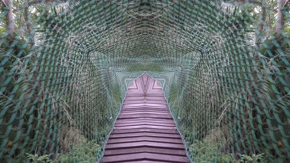 Kaleidoscopic view of canopy in jungle in kaleidoscopic