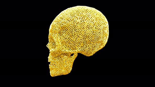 Gold Carved Skull