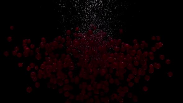 Slow Motion Currents Ribes Falling Into Transparent Water on Black Background