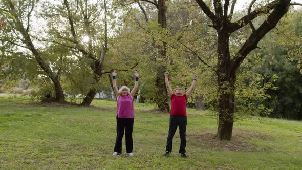 Senior Active Couple Doing Sport Physical Exercises Outdoor in City Park. Morning Stretching Workout