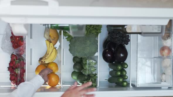 Vertical View of Fridge or Refrigerator Full of Fresh Organic Vegetables and Fruits