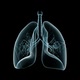 Lung Rotation (X Ray) - VideoHive Item for Sale