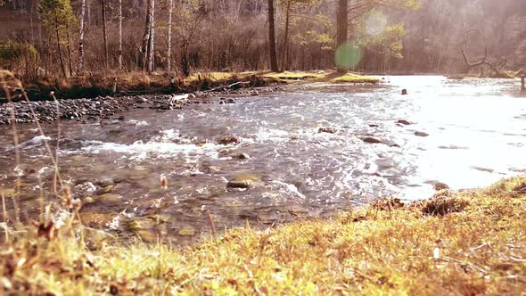 Dolly Slider Shot of the Splashing Water in a Mountain River Near Forest