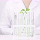 Female Researcher Cosmetologist Conducts Research with Sprouts in Test Tubes - VideoHive Item for Sale
