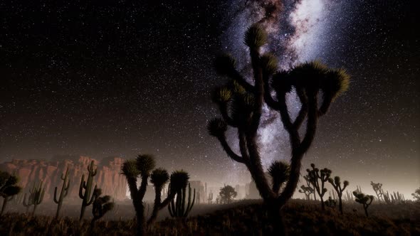 Hyperlapse in Death Valley National Park Desert Moonlit Under Galaxy Stars