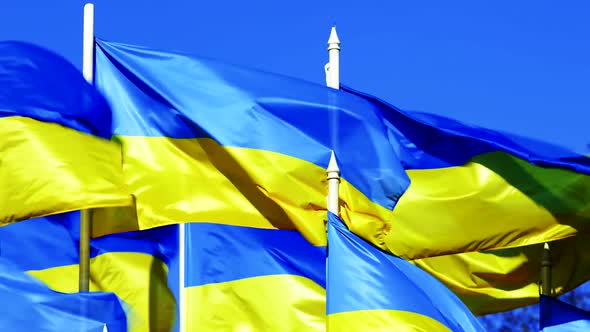 Day Many Ukrainian Flags Flutter on Wind Over Blue Sky
