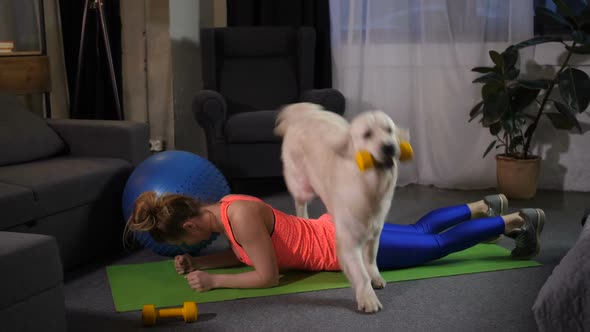 Dog Jumping Over Woman Holding a Plank