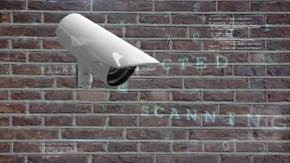 Surveillance camera alt