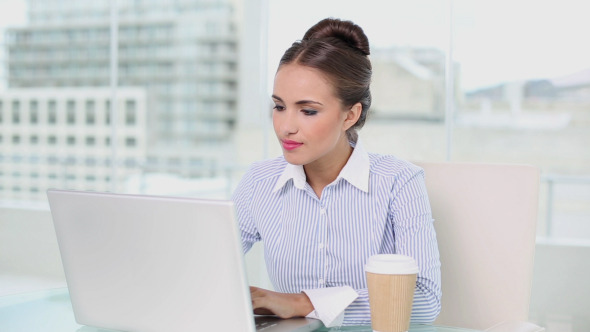 Young Businesswoman Working On Her Laptop 1