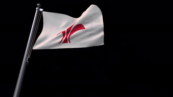 Flag Of Lille City (France9 With Alpha Channel 4K