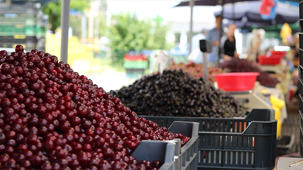 Bunch of Cherries at Market