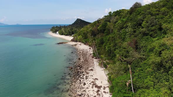 Green Jungle and Stony Beach Near Sea. Tropical Rainforest and Rocks Near Calm Blue Sea on White