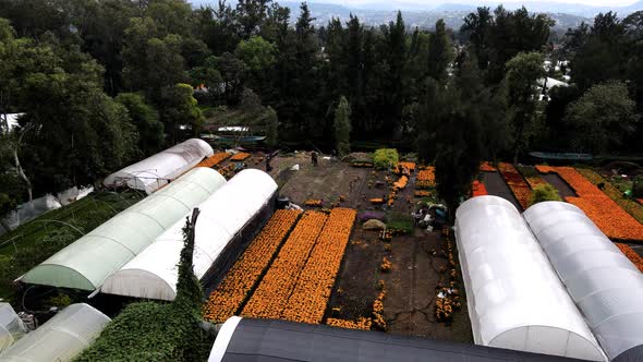 Round shot of greenhouses in Xochimilco