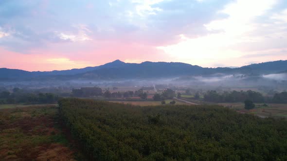 Aerial view from a drone over a misty landscape on the farmland