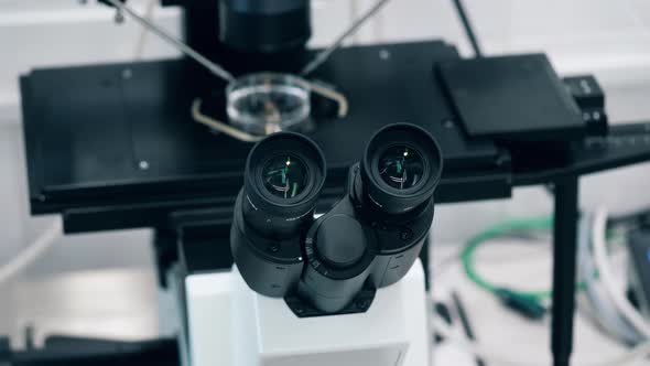 Ocular Lenses of a Microscope During Research