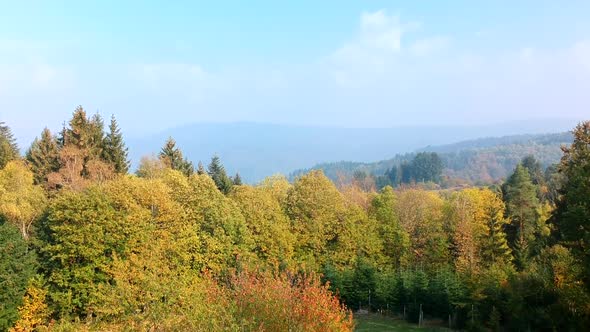 Crane shot of a wide forest landscape in autumn, Black Forest, Germany