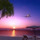 Palms Tree And Airplane At Sunset - VideoHive Item for Sale