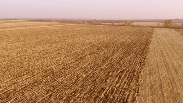 Aerial View of Wheat Field After Harvesting