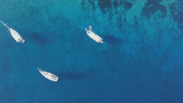 Sailing Yachts Anchored in the Bay with Clear and Turquoise Water