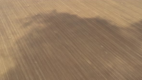 High above cultivated soil with shadow of clouds 4K aerial video