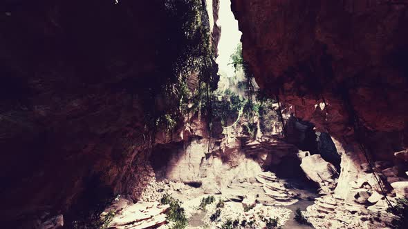Large Fairy Rocky Cave with Green Plants