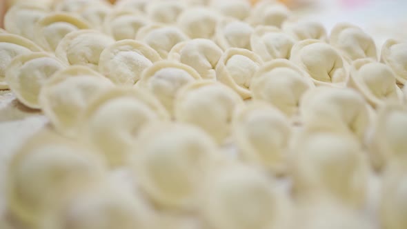 a Large Number of Raw Dumplings Closeup Lie in Even Rows