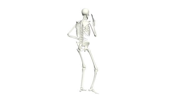 Phone Talking Skeleton