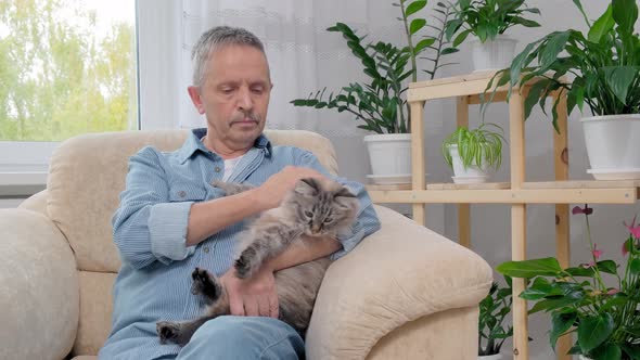 Senior Man Fondling Cat Pet While Sitting on Armchair at Home