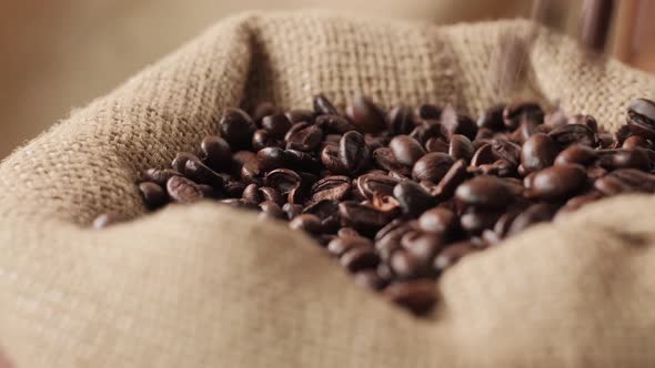 Closeup of Dark Coffee Beans Falling From Above Into an Ecofriendly Burlap Bag