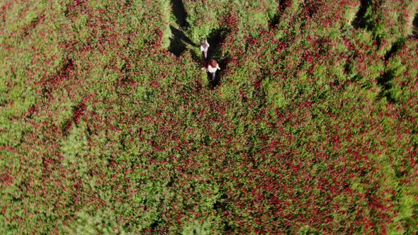 Girls In Poppies