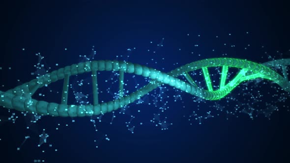 Abstract Digits DNA Scanning
