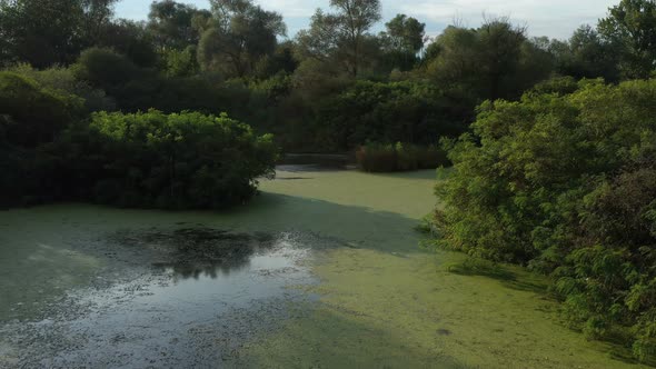 Flight Over A Beautiful Lake Dotted With Green Vegetation 6