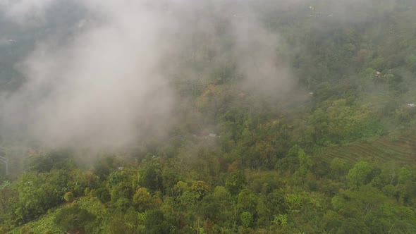 Farmlands and Village Bali Indonesia