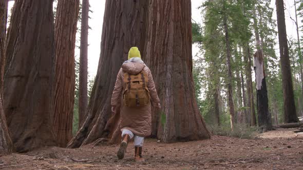 Eco Tourism Concept USA Footage Traveller Female with Backpack in Sequoia Park