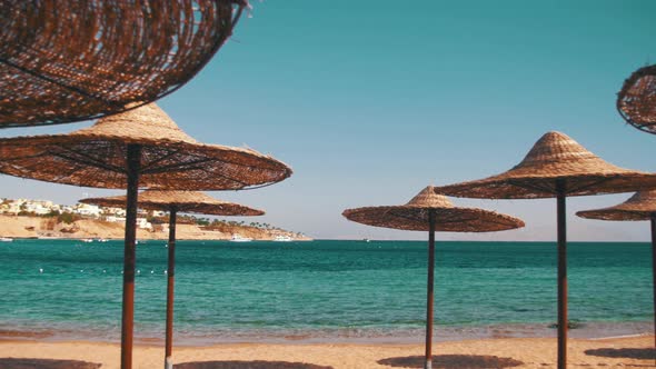 Egypt, Empty Sunny Beach with Umbrellas, Sun Beds on the Red Sea