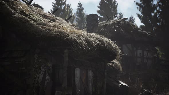 Old Retro Village in Pine Forest alt