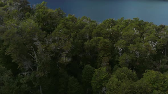 Flying Over Mountain Lake, Patagonia, Argentina, South America. 4K resolution. Beautiful lake as a t