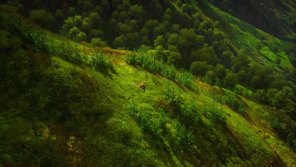 High Mountain in Morning Time