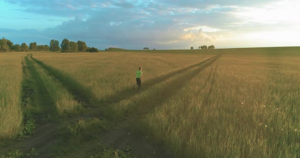 Sporty Child Runs Through a Green Wheat Field, Evening Sport Training Exercises at Rural Meadow