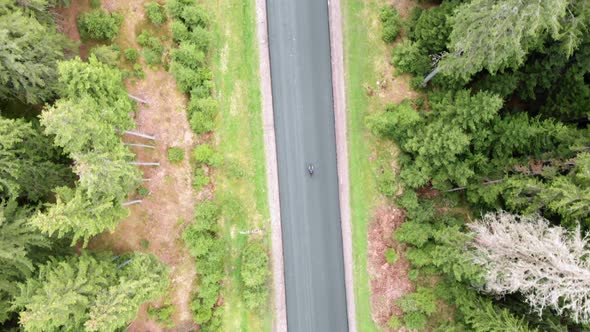 Cyclist rides down mountain road in national park or forest. Top aerial cycling