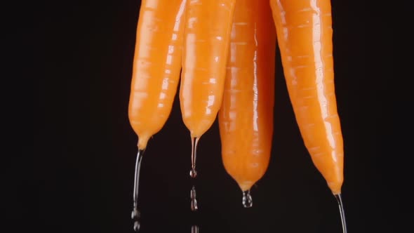 Human Hand Lifts A Carrots From A Water - Drops Falls