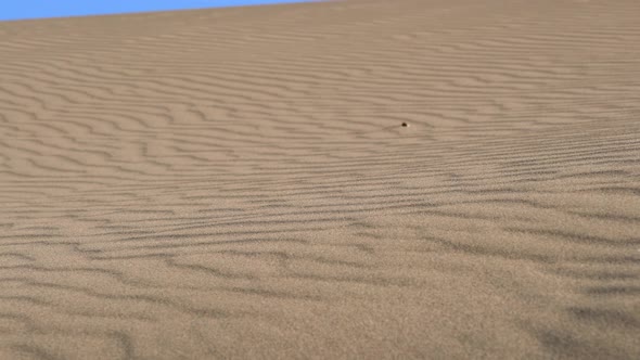 Parallel Sand Pattern Lines on Dune Surface in Desert