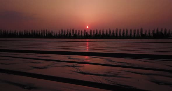 Motion Along Boundless Vegetable Fields Under Thick Foil