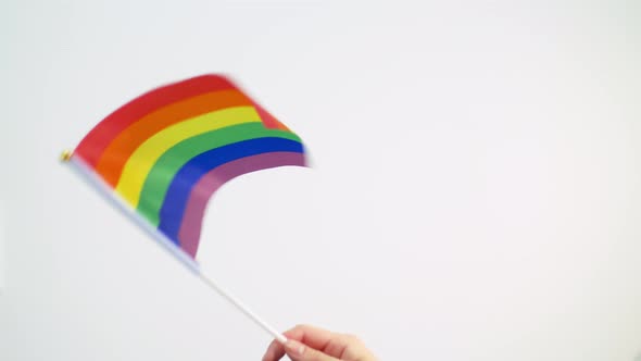 Hand Waving Gay or Lgbt Pride Rainbow Colored Flag 20