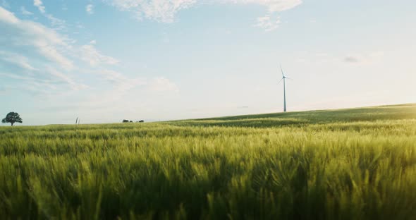 A View of a Green Valley with a Wind Generator Standing Among the Fields