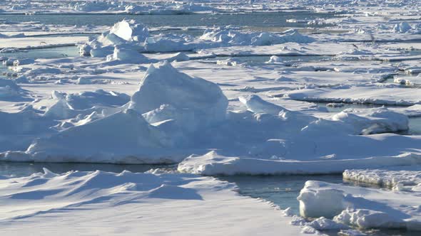 Blue Melting Ice Drifting in the Water. Gulls Fly and Fish. Polar Day in the Arctic