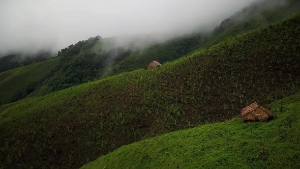 Aerial View of Lush Green Rain Forest Mountain 20