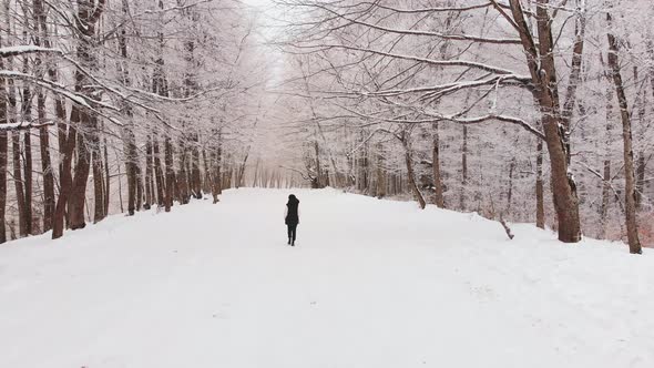 Person Walks On Snowy Path In Sabaduri Forest