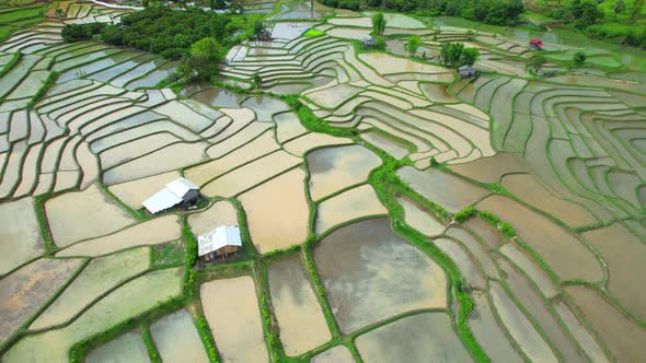 Aerial view of drones flying over rice terraces